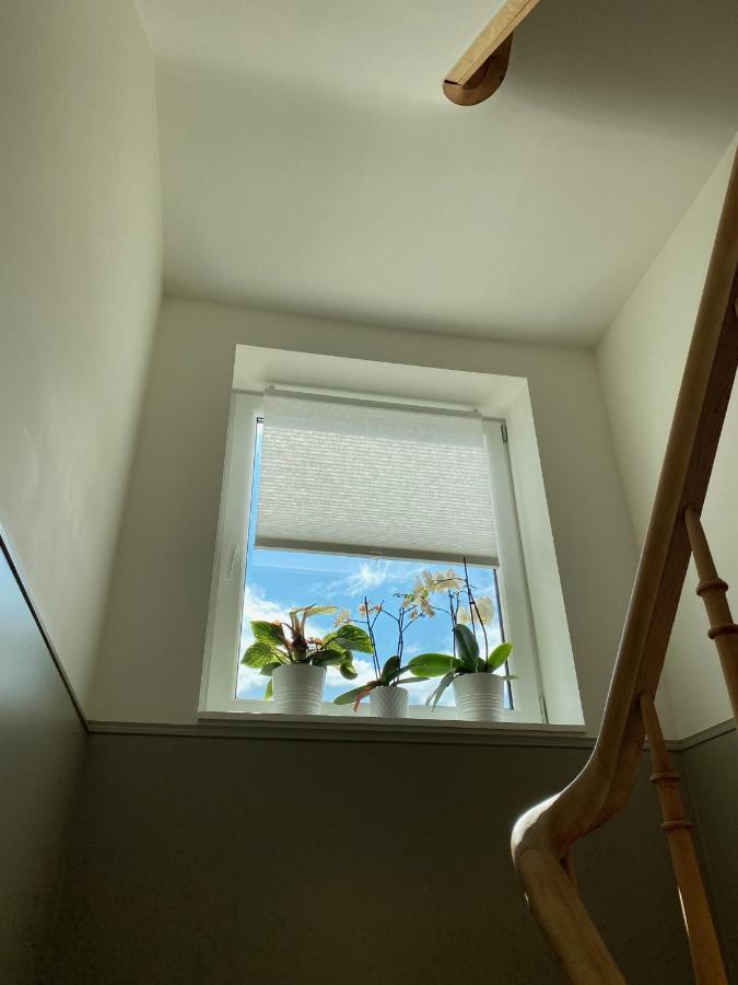 Logies-M Comfort Studios Inc Bikes B&B Oostende Bagian luar foto